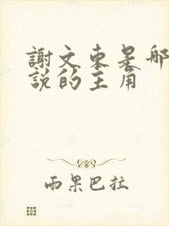 谢文东是哪部小说的主角