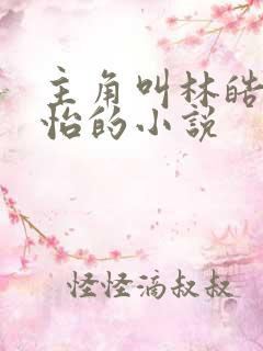 主角叫林皓李静怡的小说