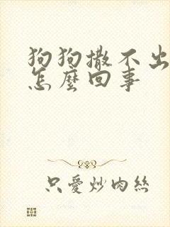 狗狗撒不出尿是怎么回事