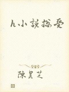 h小说总受