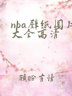 nba壁纸图片大全高清