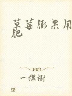 草莓膨果用什么肥 草莓膨果用什么肥