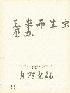 玉米面生虫子怎么办