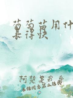 葡萄苗用什么肥长得快