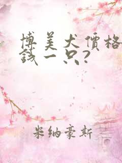 博美犬价格多少钱一只?