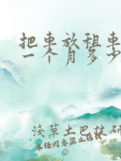 把车放租车公司一个月多少钱