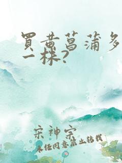 买黄菖蒲多少钱一株?