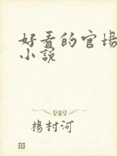 好看的官场完本小说