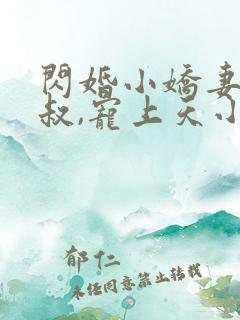闪婚小娇妻:大叔,宠上天小说