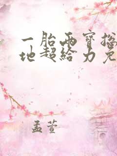 一胎两宝总裁爹地超给力免费阅读