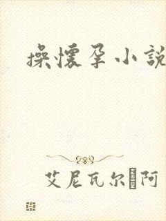 操怀孕小说