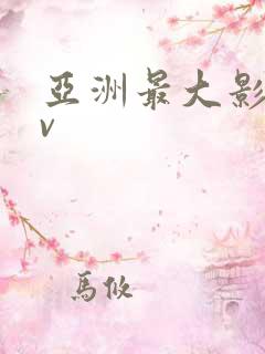 亚洲最大影院av