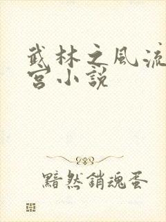 武林之风流大后宫小说