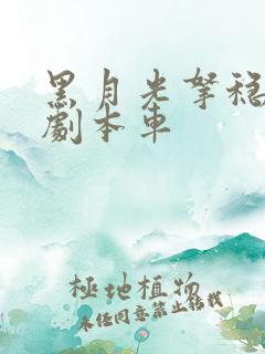 黑月光拿稳be剧本车