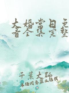 大婚当日免费观看全集完整版