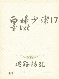 白妇少洁178章txt
