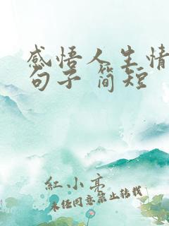 感悟人生情感的句子 简短