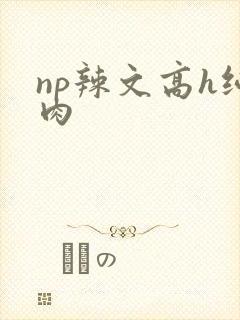 np辣文高h纯肉