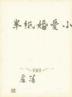 半纸婚爱小说