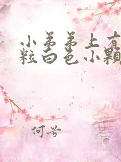 小弟弟上有一粒粒白色小颗粒