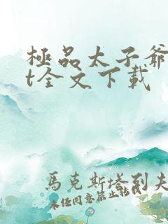 极品太子爷txt全文下载