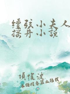 续弦小夫人 江摇舟小说