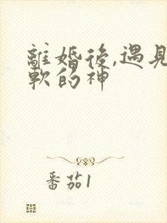 离婚后,遇见心软的神