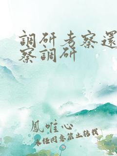 调研考察还是考察调研