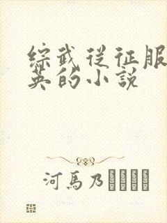 综武从征服林朝英的小说