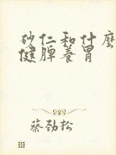 砂仁和什么煲汤健脾养胃