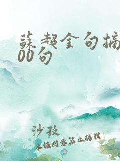 苏超金句摘抄100句