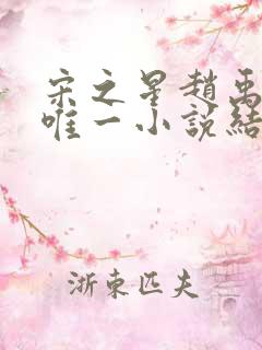 宋之星赵禹宁梁唯一小说结局