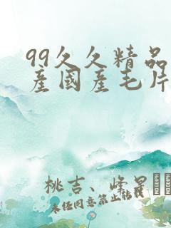 99久久精品国产国产毛片
