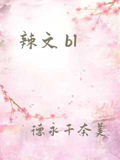 辣文 bl
