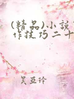 (精品)小说写作技巧二十讲(整理)