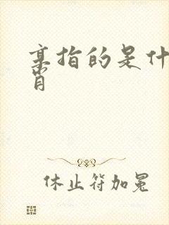 享指的是什么生肖