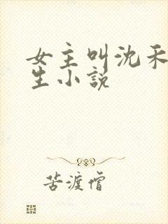 女主叫沈禾的重生小说