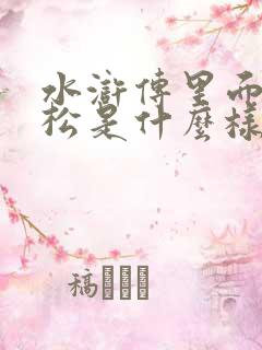 水浒传里面的武松是什么样的人