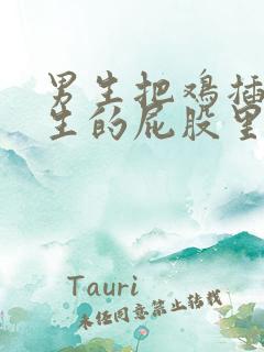 男生把鸡插进女生的屁股里