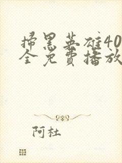 扫黑英雄40集全免费播放