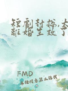 短剧封总,太太离婚生效了