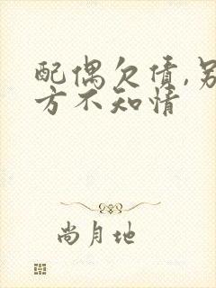 配偶欠债,另一方不知情