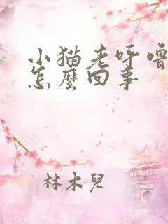 小猫老呼噜呼噜怎么回事
