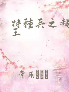 特种兵之超级兵王