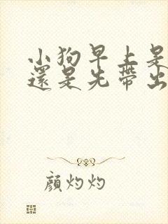 小狗早上是先喂还是先带出去拉屎