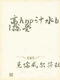 高hnp汁水bl总受