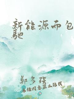 新能源面包车瑞驰
