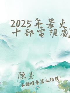 2025年最火十部电视剧