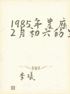 1985年农历2月初六的生辰八字