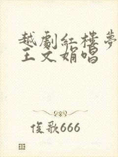 越剧红楼梦焚稿王文娟唱